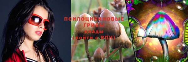 дмт Алзамай