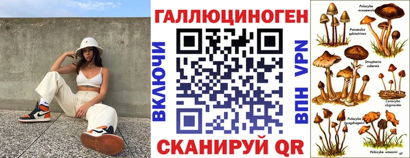 Галлюциногенные грибы Psilocybine cubensis  OMG рабочий сайт  Асино 