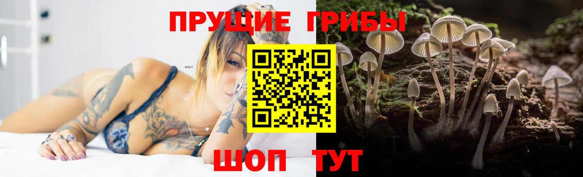 Галлюциногенные грибы Psilocybe  Вход с VPN  Асино  Псилоцибиновые грибы мухоморы 